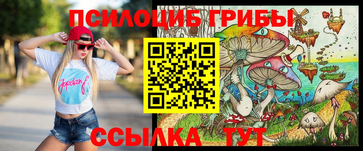 Волжский  Галлюциногенные грибы Psilocybine cubensis  где найти наркотики  Вход с VPN 